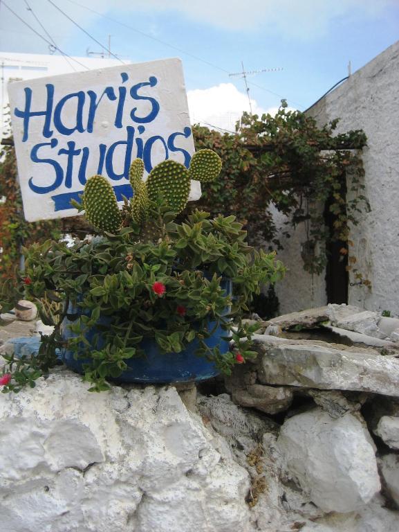 Haris Studios Παλαιοχώρα Εξωτερικό φωτογραφία